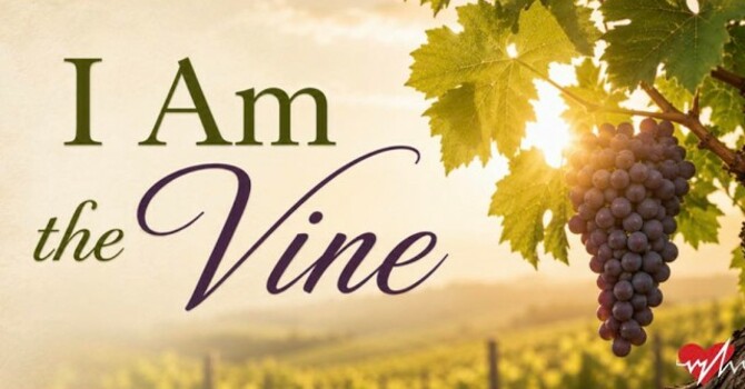 I Am The Vine