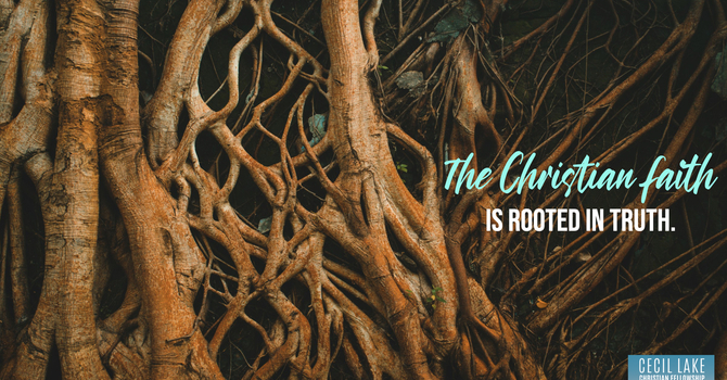 “ROOTED IN TRUTH” image