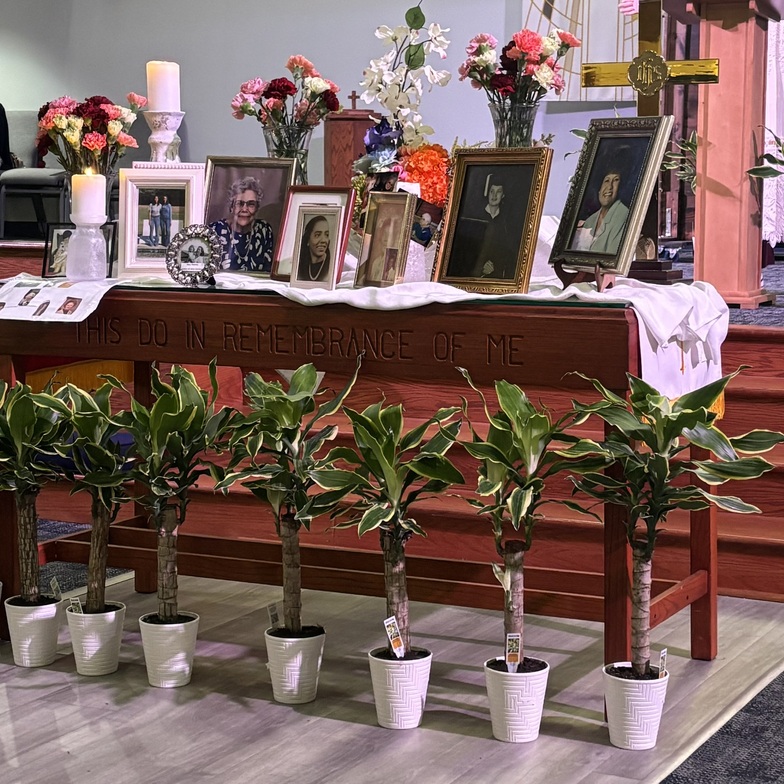 Slideshow image