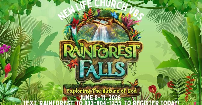 Rainforest Falls VBS