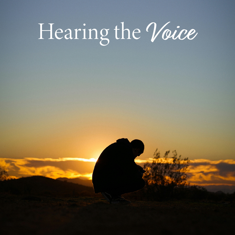 Hearing the Voice