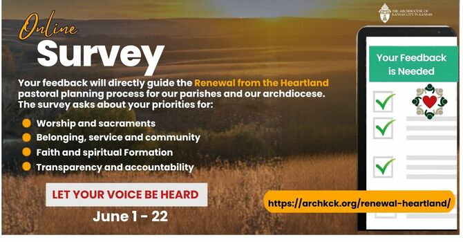 Online Heartland Survey
