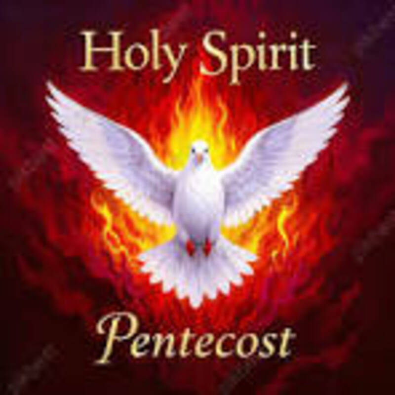 The Holy Spirit Sent Me