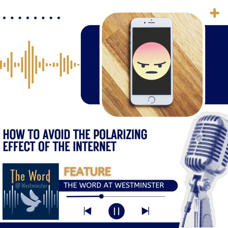 How to avoid the polarizing effect of the internet