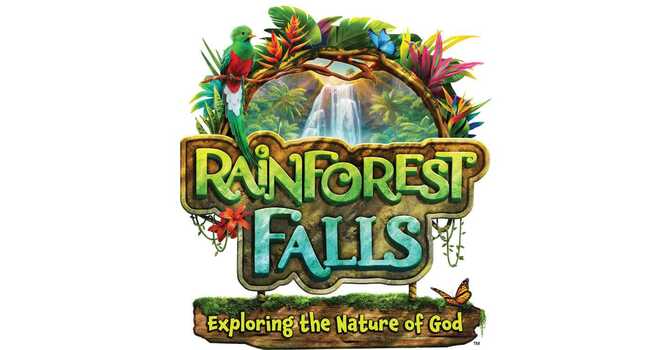 Rainforest Falls VBS 