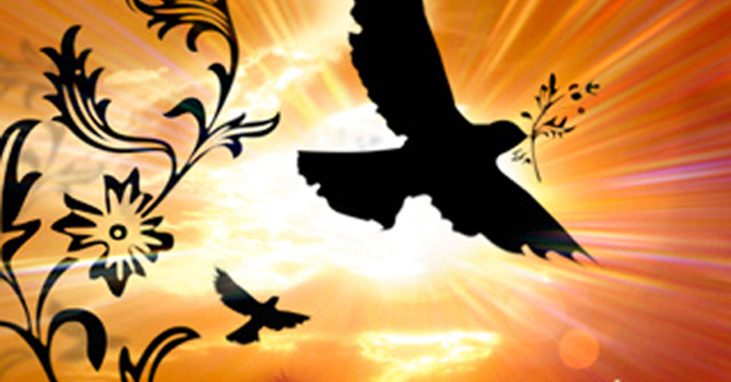Second Sunday after Pentecost image