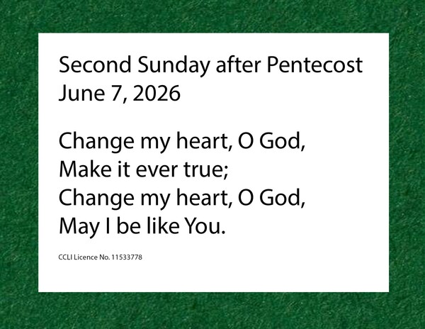2nd Sunday after Pentecost