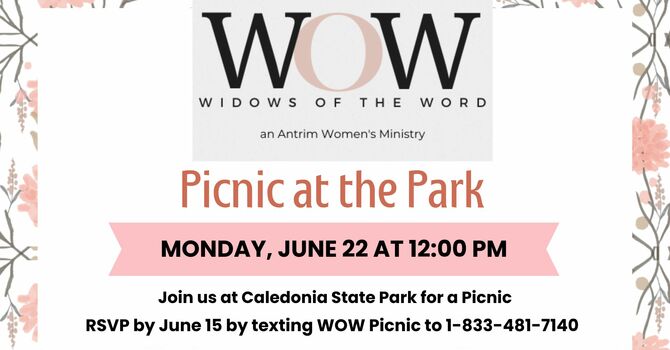 WOW Picnic