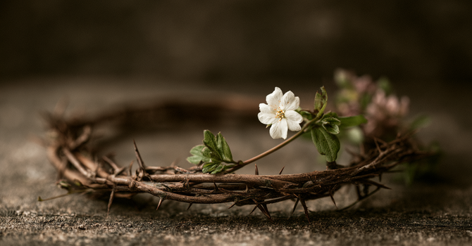 Transforming Hope in Difficult Times