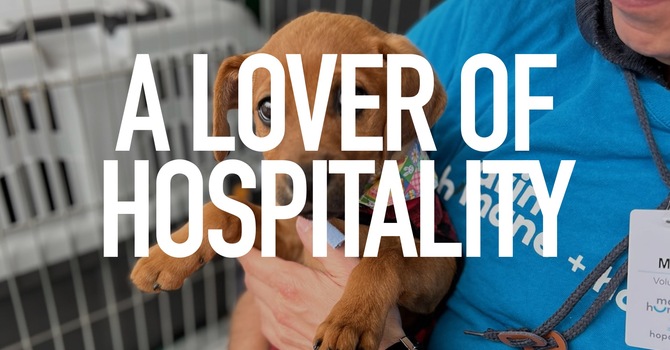 A Lover Of Hospitality