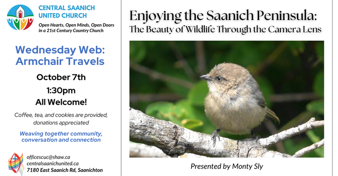 Wednesday Web - Armchair Travel