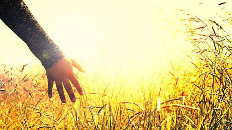 A Heart That Partners In the Gospel Harvest - Sammy Kabyemera