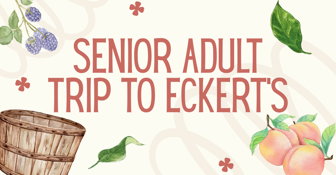 Senior Adult Trip to Eckert's