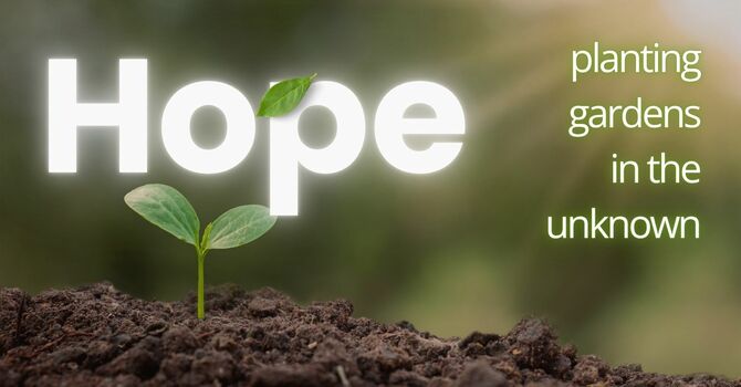 Hope (Planting Gardens in the Unknown)