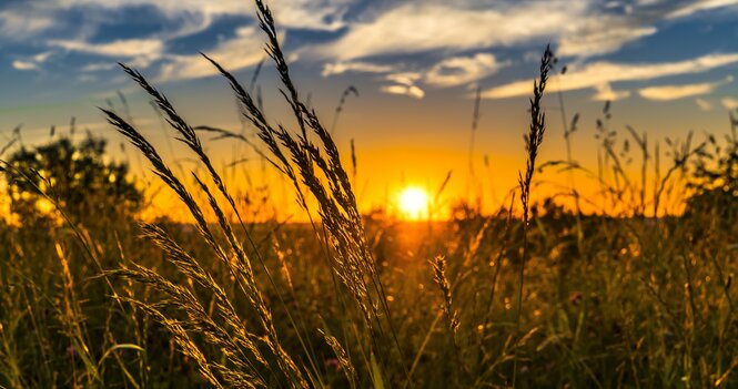 Passing the Peace - June 3, 2026