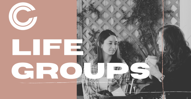 Life Groups