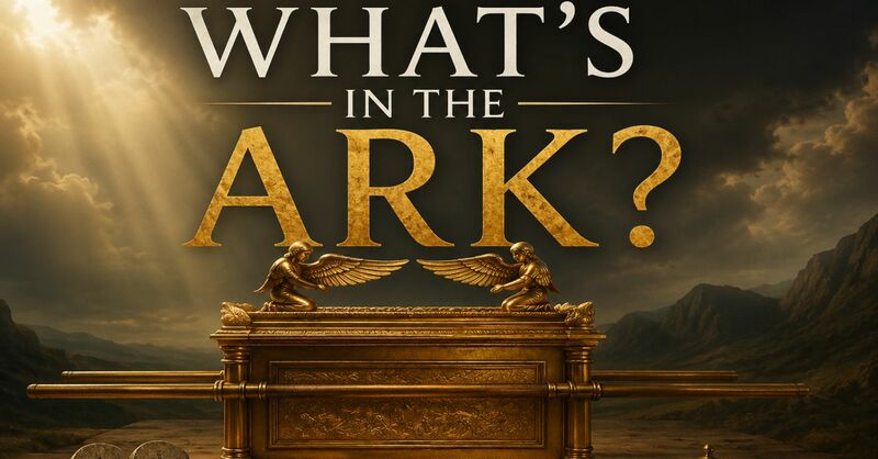 What's in the Ark?