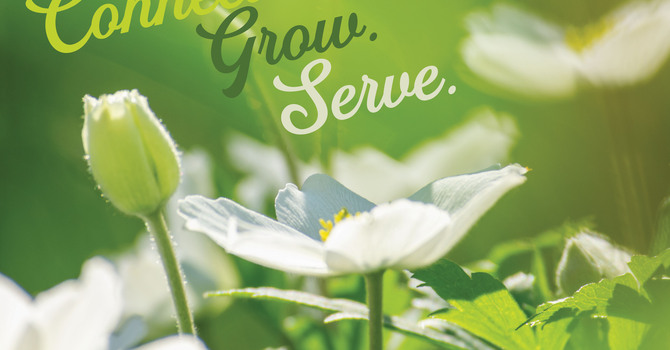 June 7, 2026 Church Bulletin image