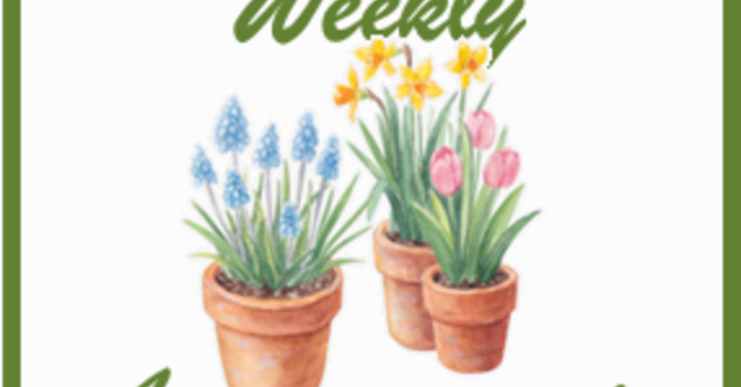 Weekly Announcements