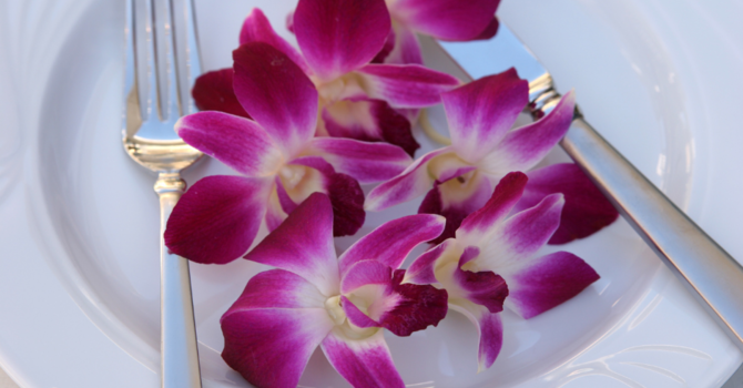Edible Flower Tutorial with Rev. Stacey