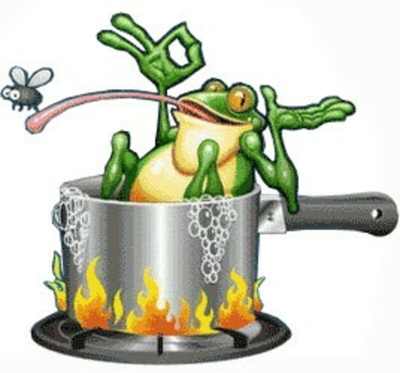 A Frog in the Kettle