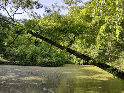 Slideshow image