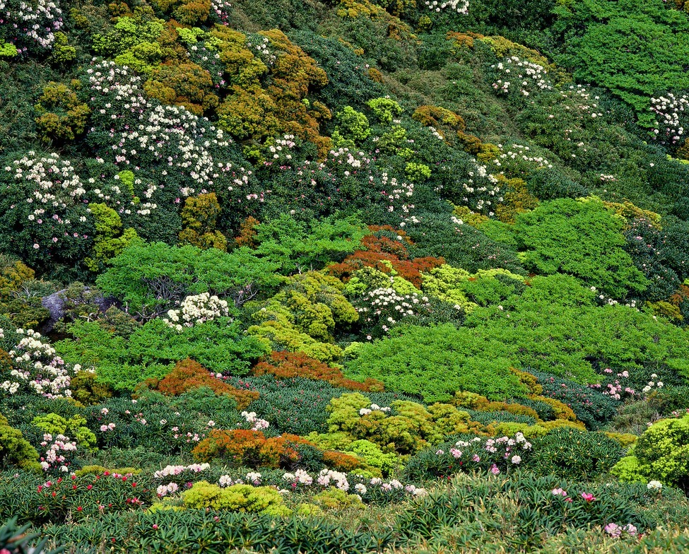 Slideshow image