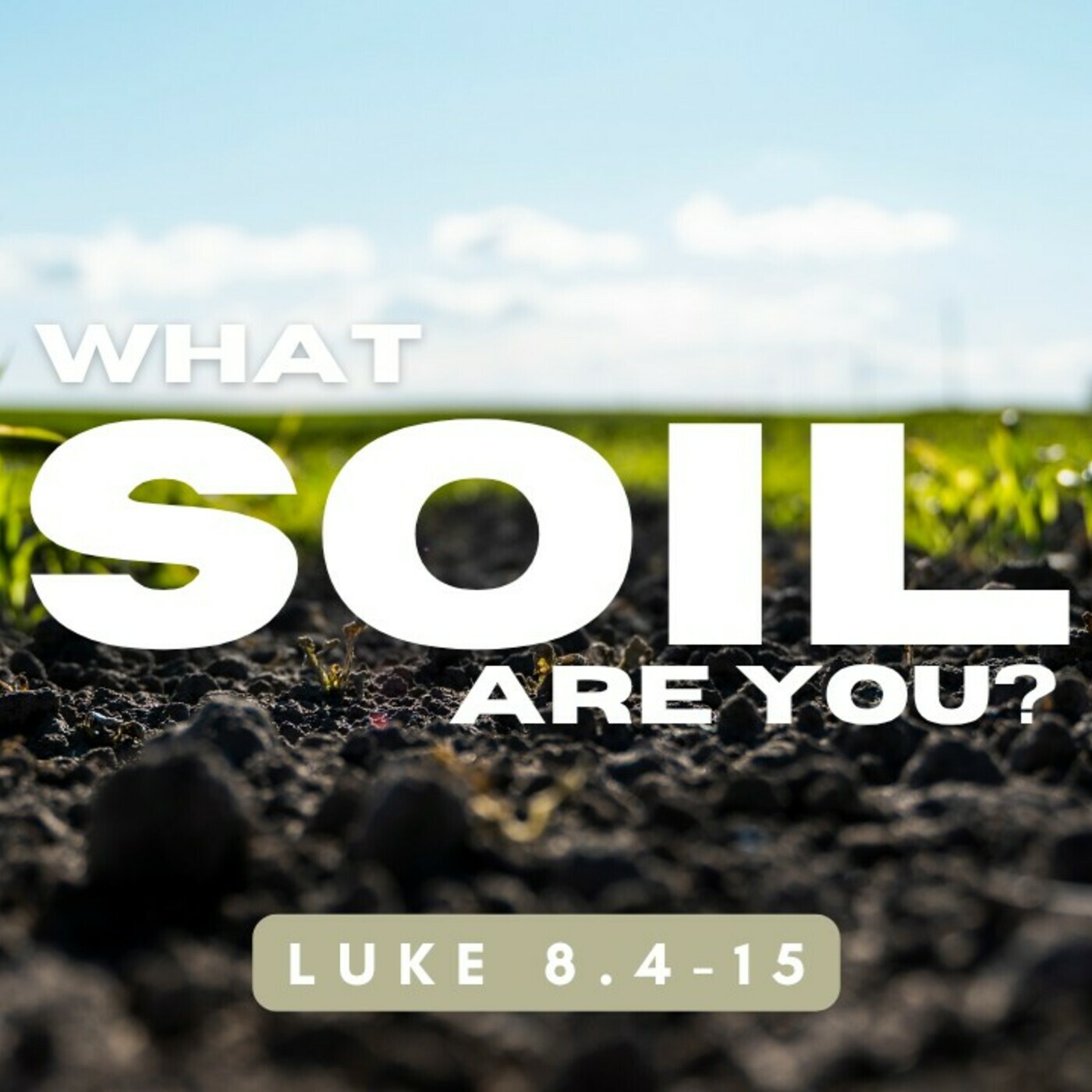 What Soil Are You - Part 2 episode artwork