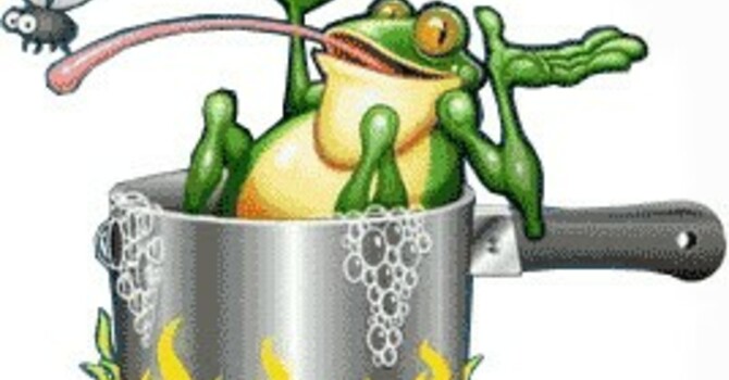 A Frog in the Kettle