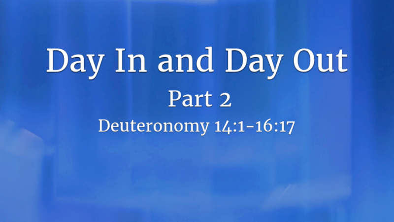 Day In and Day Out, Part 2