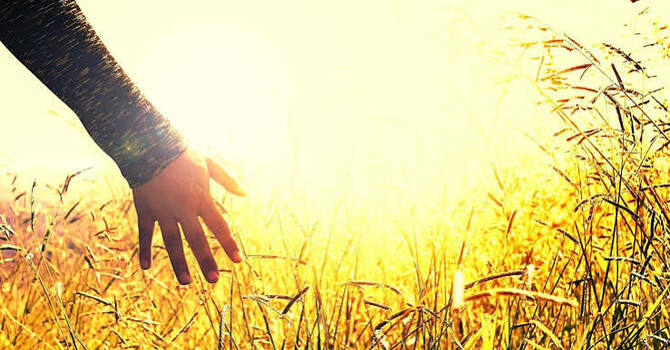 A Heart That Partners In the Gospel Harvest - Sammy Kabyemera