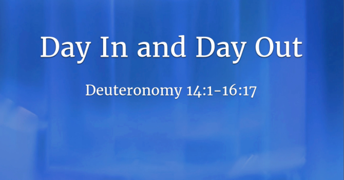 Day In and Day Out
