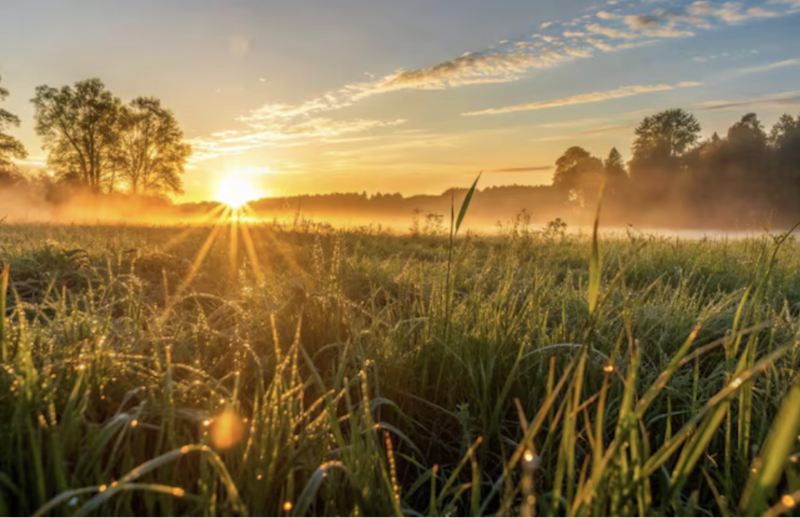 A Brand New Day 