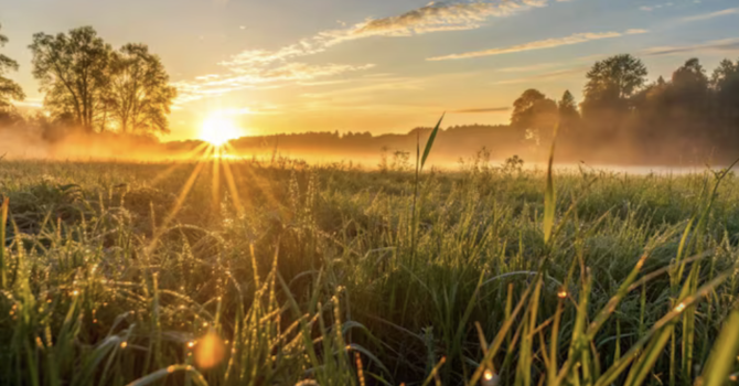 A Brand New Day 