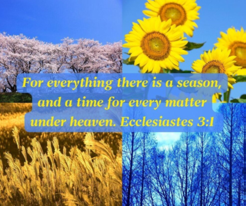 A Season of Transition