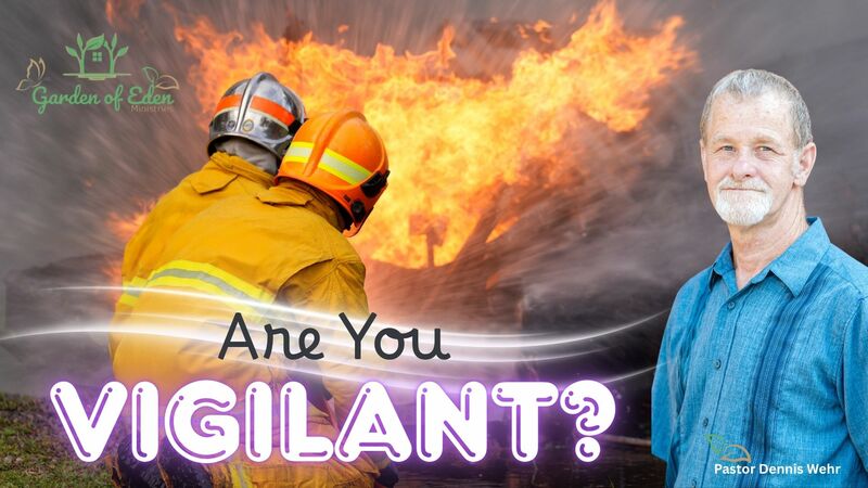 Are you Vigilant?