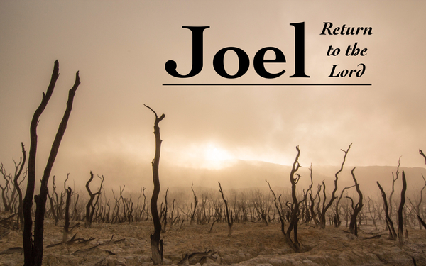 Joel