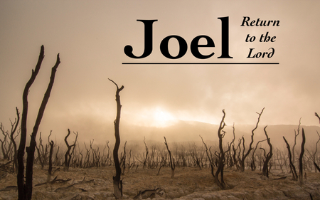 Joel