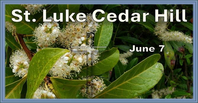 A Recording of the Service for June 7th is Now Available