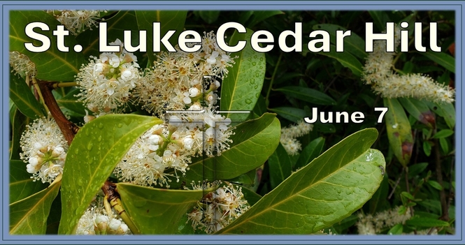 A Recording of the Service for June 7th is Now Available
