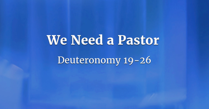 We Need a Pastor