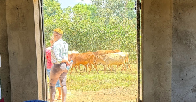 Pastor Allen's Travel Blog- Day 3
