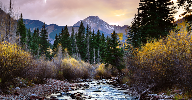Wilderness Times
