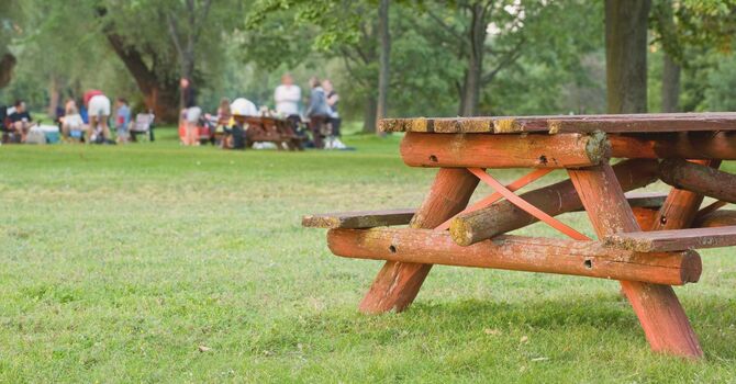 Ghost Pine Picnic