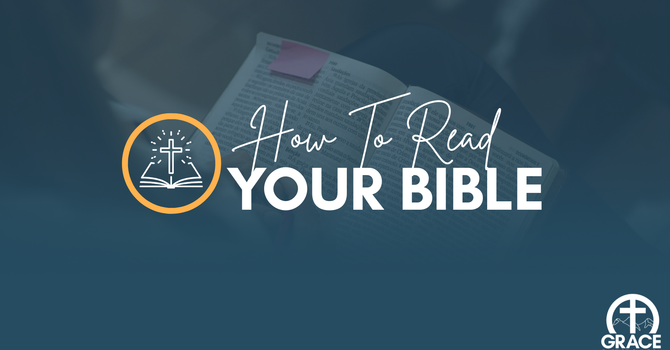 How To Read Your Bible