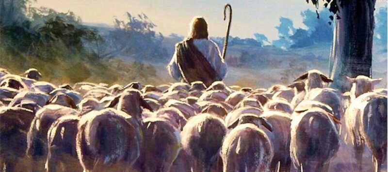Jesus, The Good Shepherd