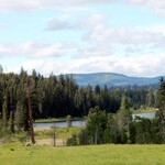 nav image