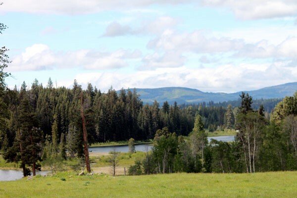 Slideshow image