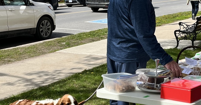 First Lawn Sale of the Season