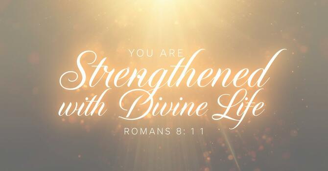 You Are Strengthened with Divine Life image